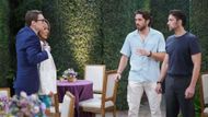 Carter, Lily, Chance, and Cane on The Young and the Restless | Image: JPI